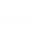 vllztech